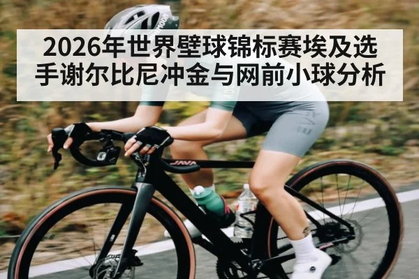 2026年世界壁球锦标赛埃及选手谢尔比尼冲金与网前小球分析